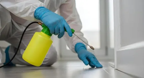Pest Control